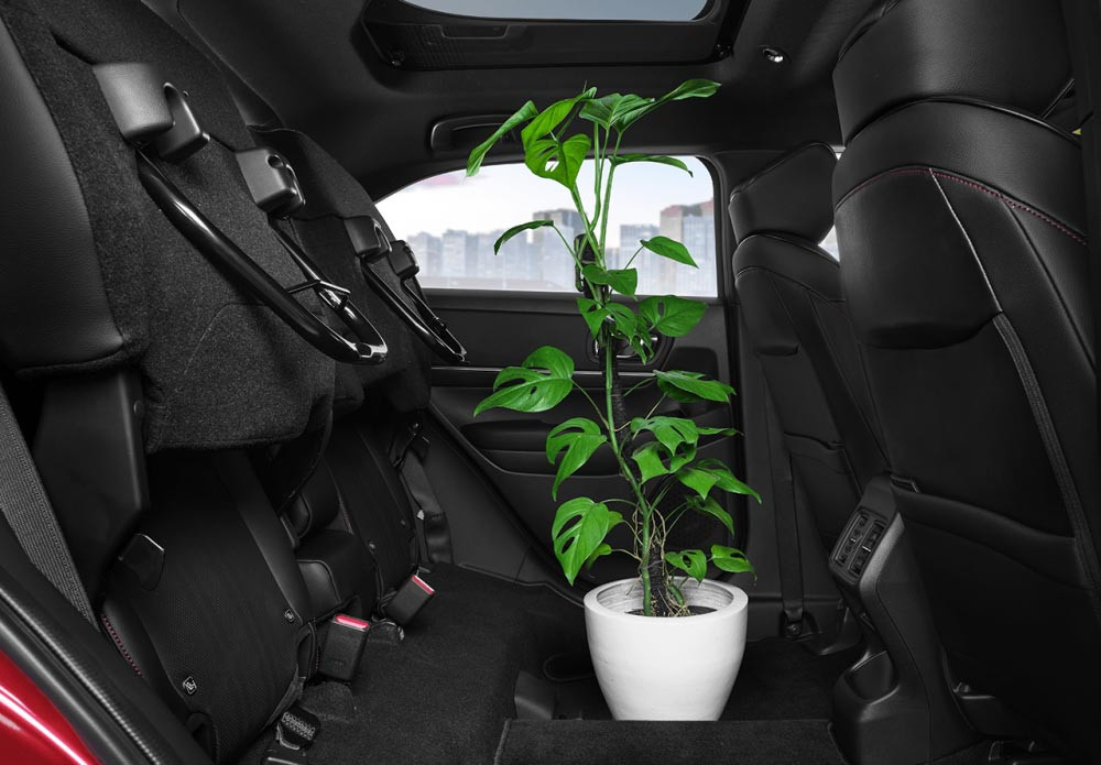 Tall Mode
Dengan Tall Mode, Anda dapat mengangkat dudukan kursi belakang untuk menciptakan ketinggian ekstra pada ruang simpan, yang dapat digunakan untuk membawa barang berdimensi tinggi, seperti furniture atau tanaman.